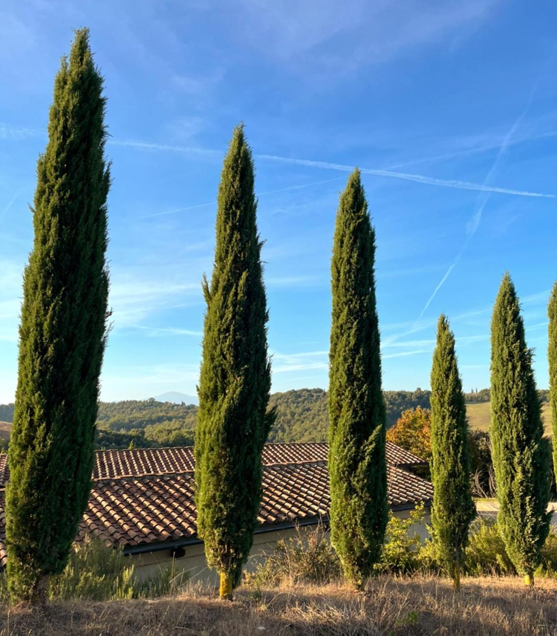Podere Sole เตรกวานดา ภายนอก รูปภาพ